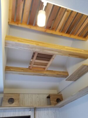 キャットウォークの家　寝室折り上げ天井ハシゴ